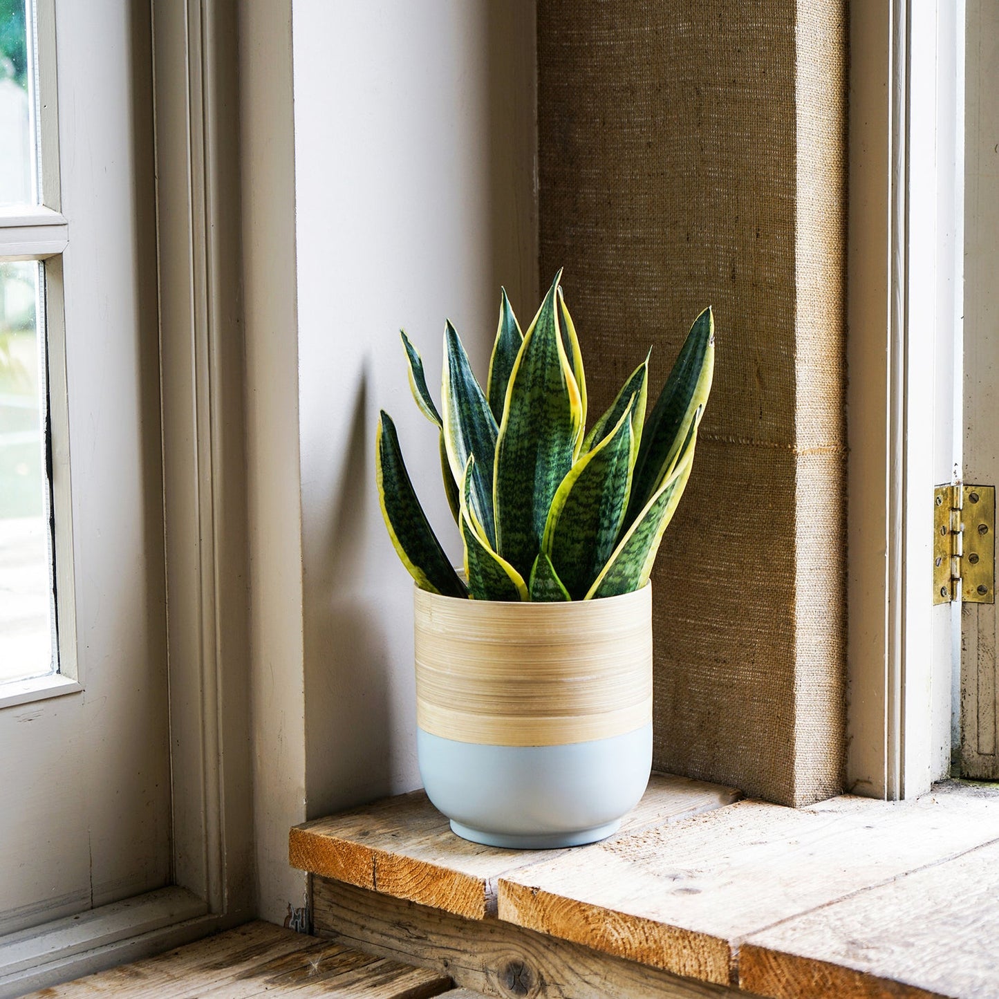 Bamboo Planter Grey Ivyline