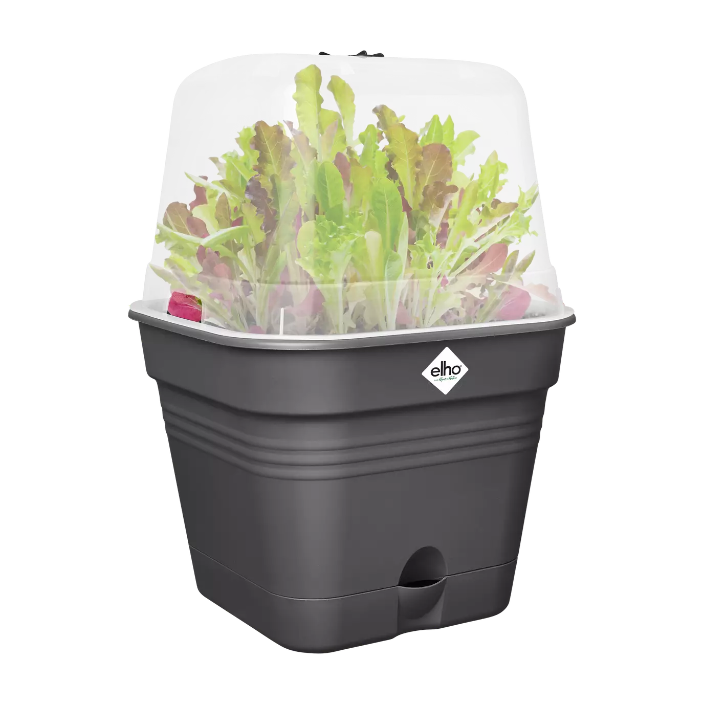 Square Grow-Pot All in 1 Living Black