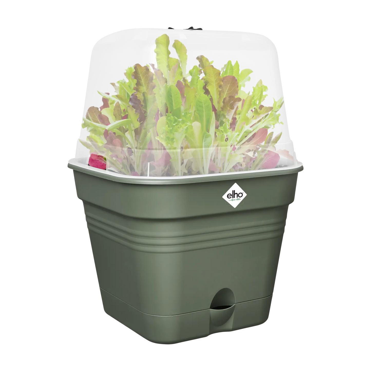 Square Grow-Pot All in 1 Leaf Green