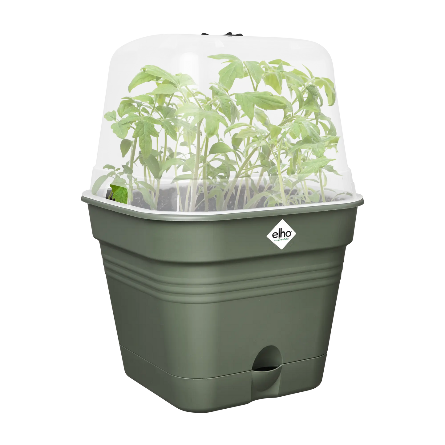 Square Grow-Pot All in 1 Leaf Green